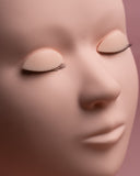 Mannequin Head & Eyes