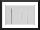 Sample Tray
