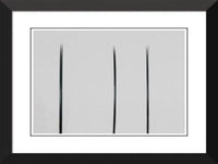Flat Lashes Single