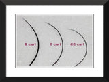 Flat Lashes Single